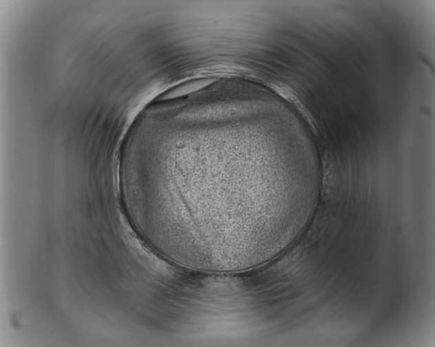 X0000101651083200807241350