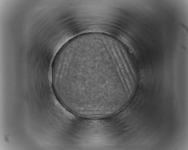 X0000101651084200807241350