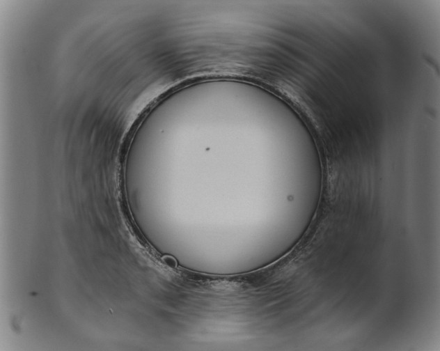 X0000101651085200807241350