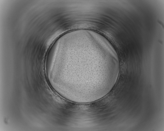 X0000101651086200807241350