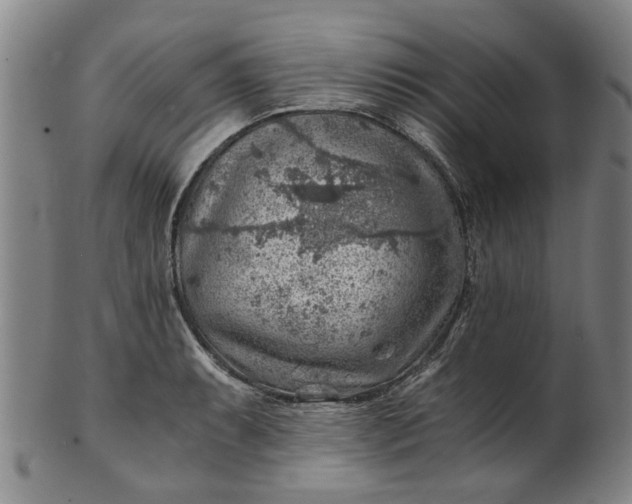 X0000101651087200807241350