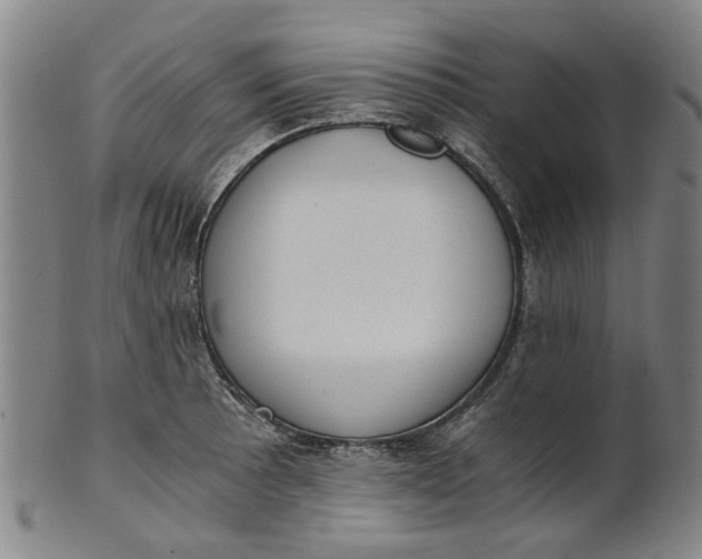 X0000101651089200807241350