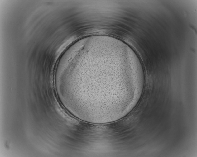 X0000101651090200807241349