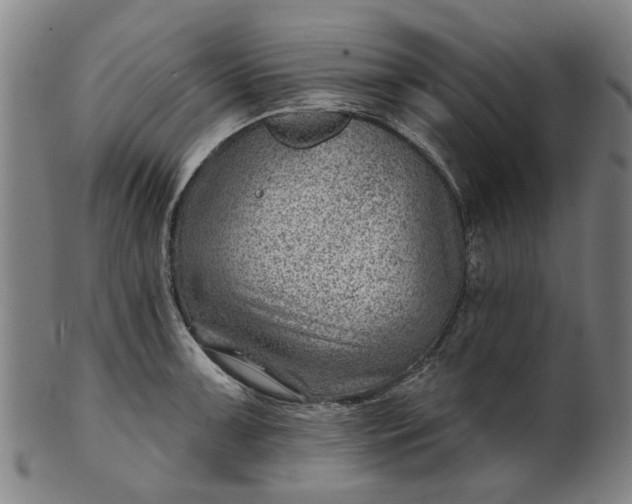 X0000101651091200807241349