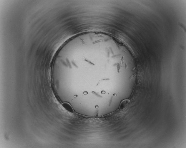 X0000101651092200807241349