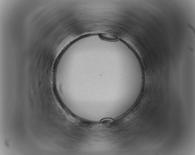 X0000101651093200807241349