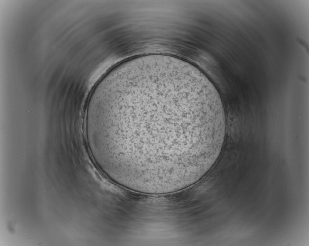 X0000101651094200807241349