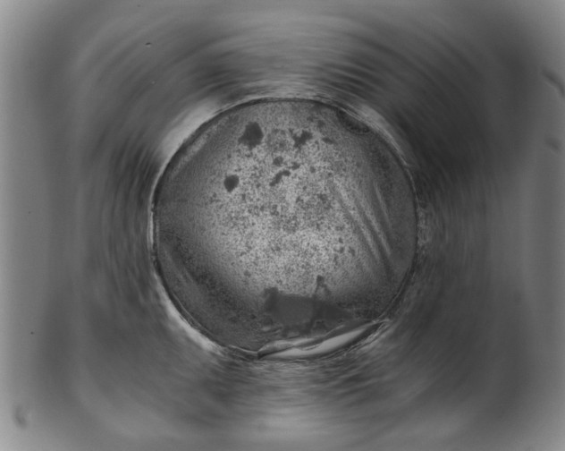 X0000101651095200807241349