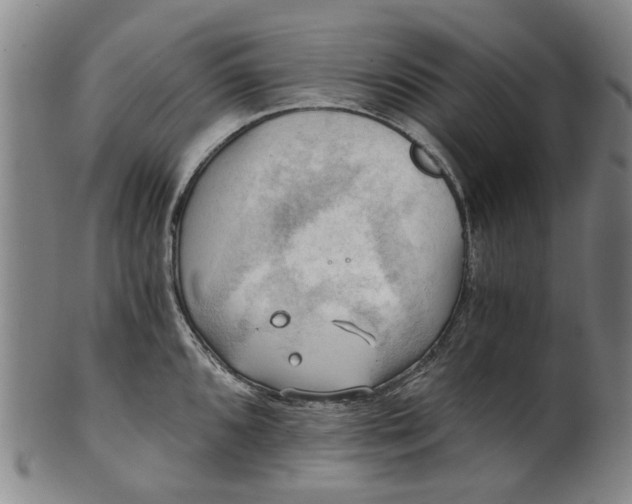 X0000101651096200807241349