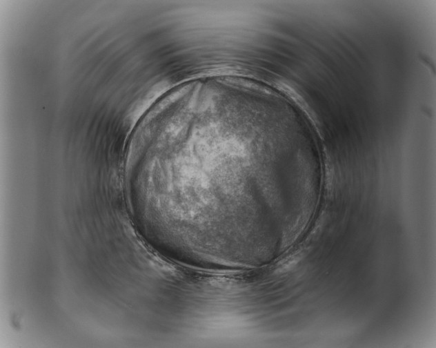 X0000101651097200807241349