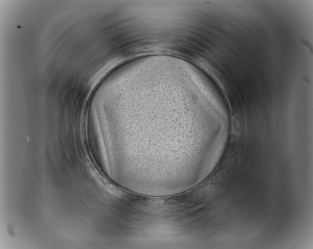 X0000101651098200807241349