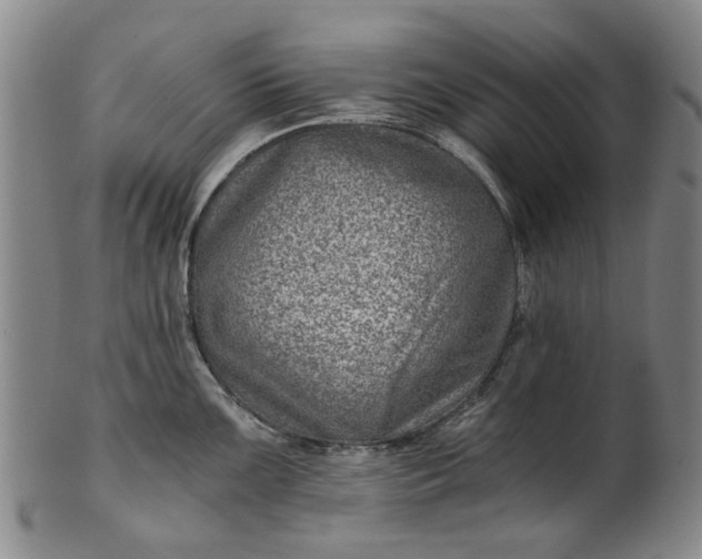 X0000101651099200807241349