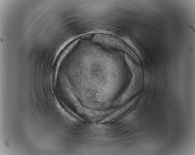 X0000101651100200807241349