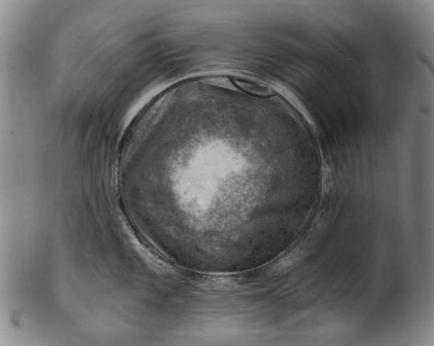 X0000101651101200807241349