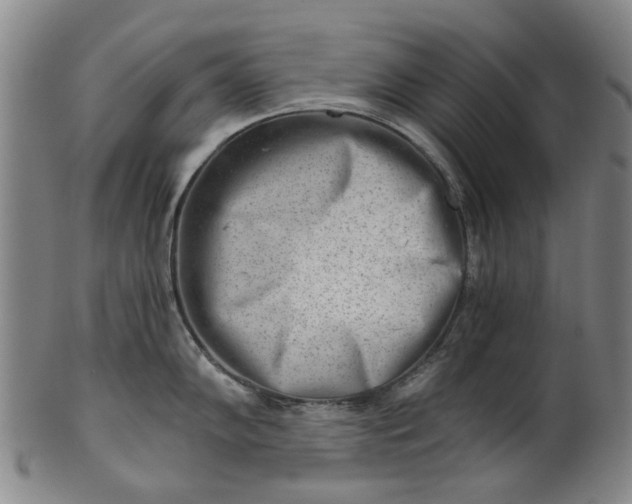 X0000101651102200807241349