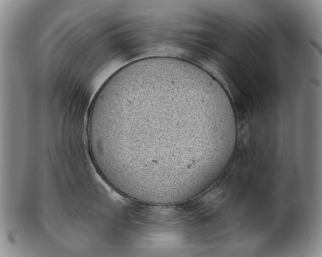 X0000101651103200807241349