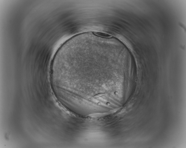 X0000101651104200807241349