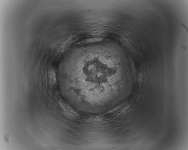 X0000101651106200807241348