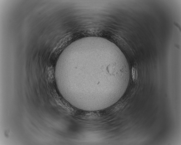 X0000101651107200807241349