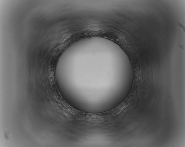 X0000101651109200807241349