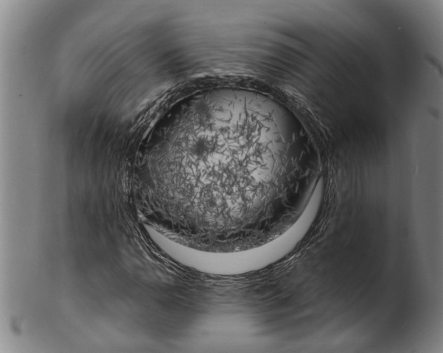 X0000101651110200807241349