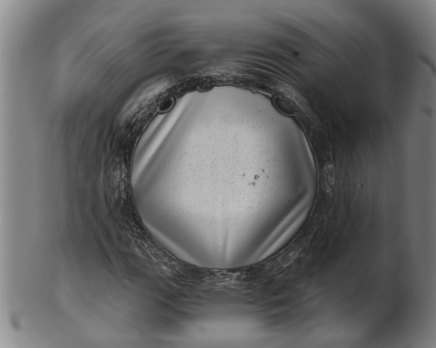 X0000101651111200807241349