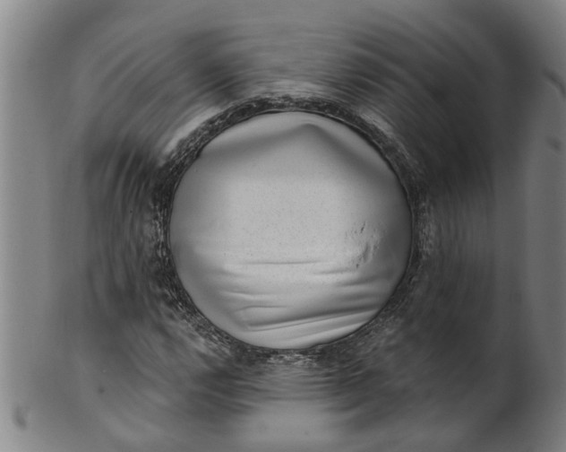 X0000101651112200807241349