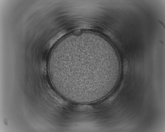 X0000101651113200807241349