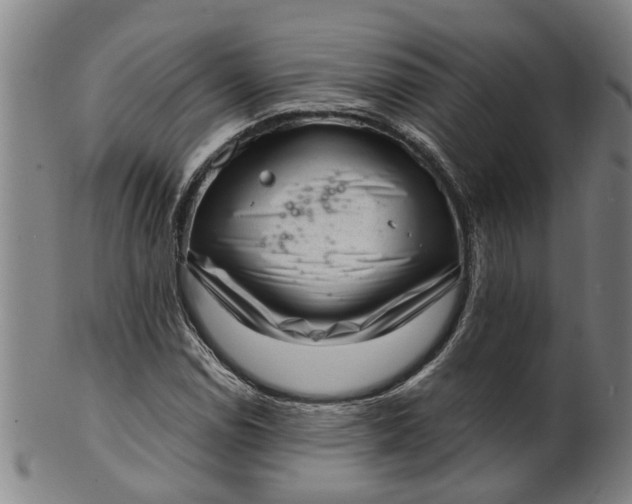 X0000101651114200807241349