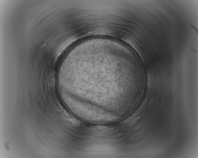 X0000101651115200807241349