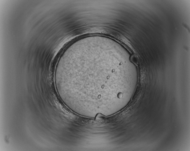 X0000101651116200807241349