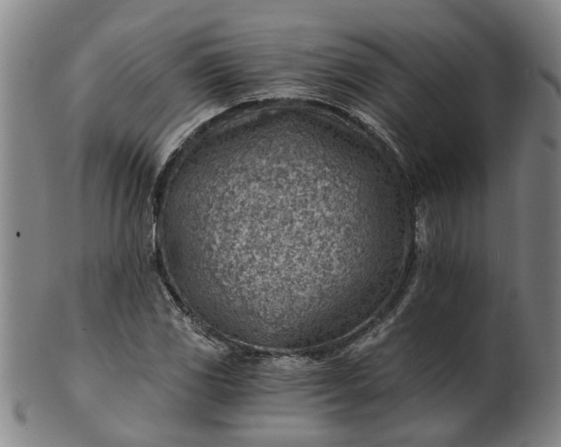 X0000101651117200807241349