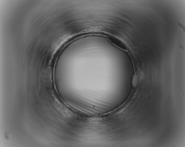 X0000101651118200807241349