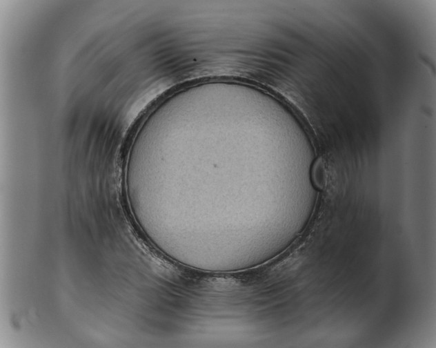 X0000101651119200807241349