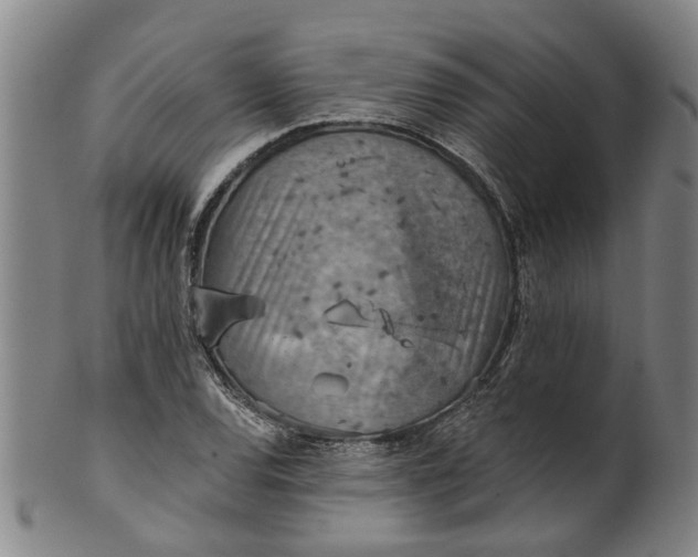 X0000101651120200807241349