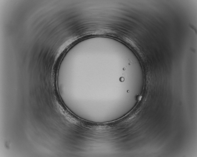 X0000101651122200807241349