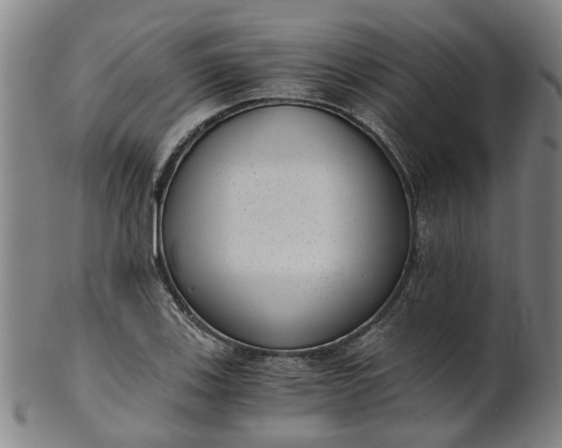 X0000101651123200807241349