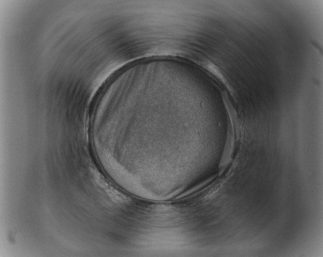 X0000101651124200807241349