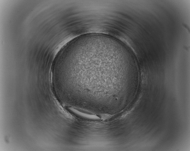 X0000101651125200807241349