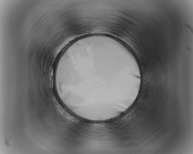 X0000101651126200807241349