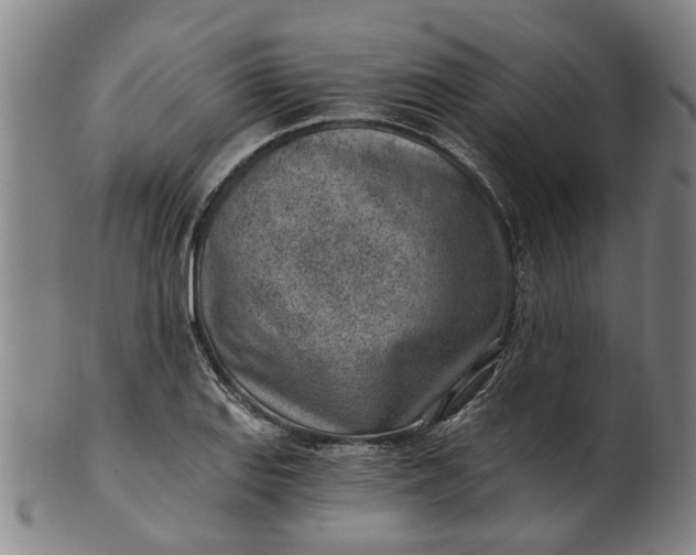 X0000101651127200807241349