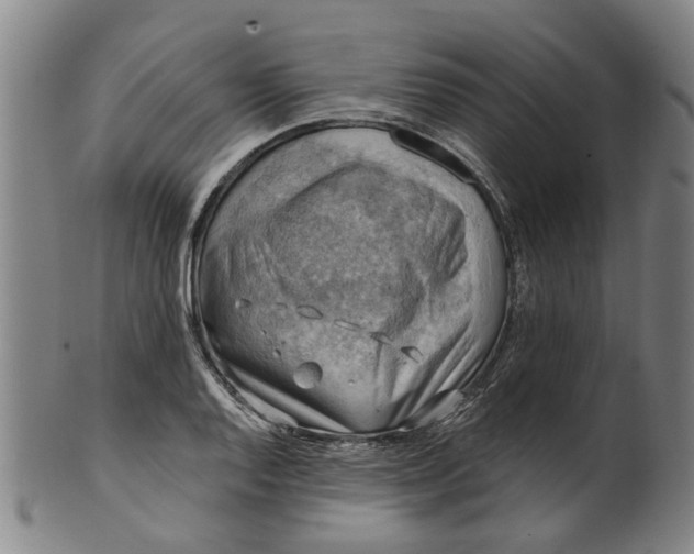 X0000101651128200807241349