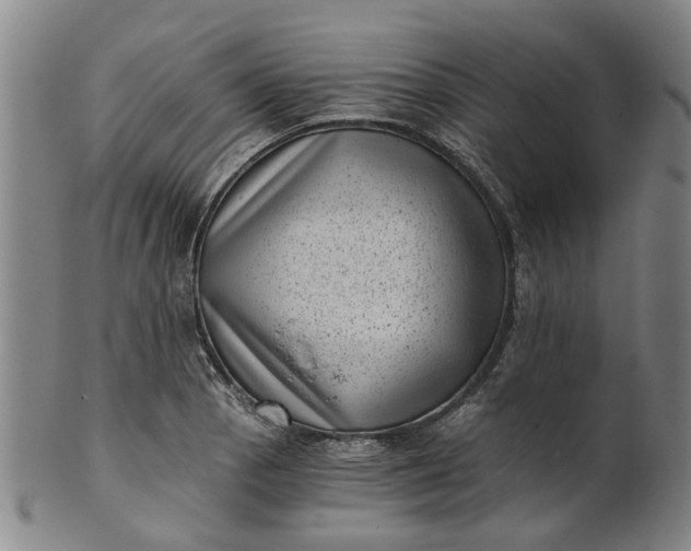 X0000101651129200807241349