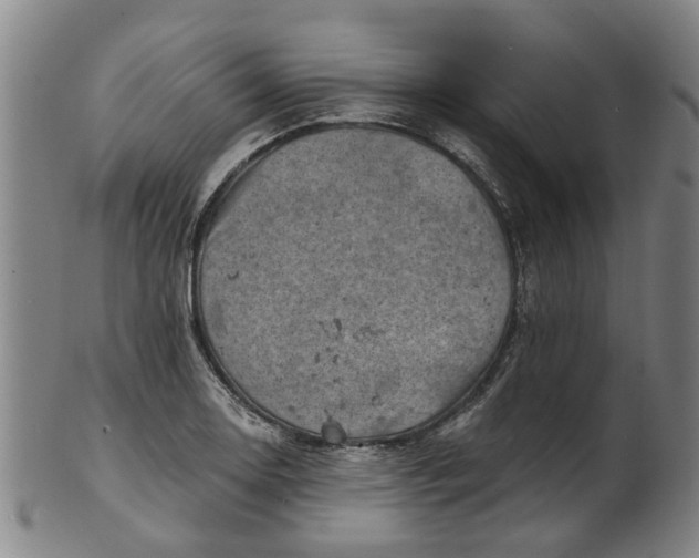 X0000101651130200807241349