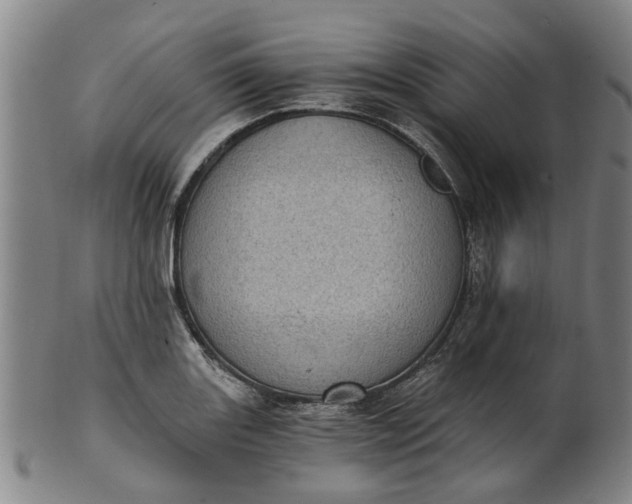 X0000101651131200807241349