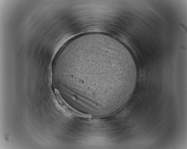 X0000101651132200807241349