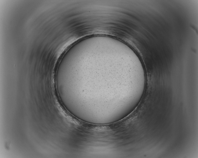 X0000101651133200807241349