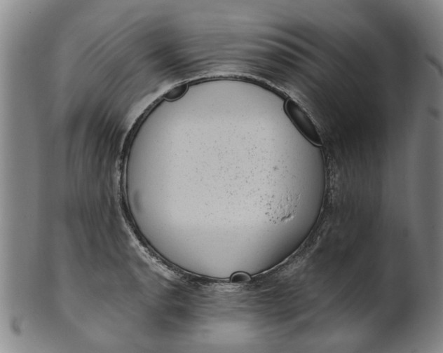 X0000101651134200807241349