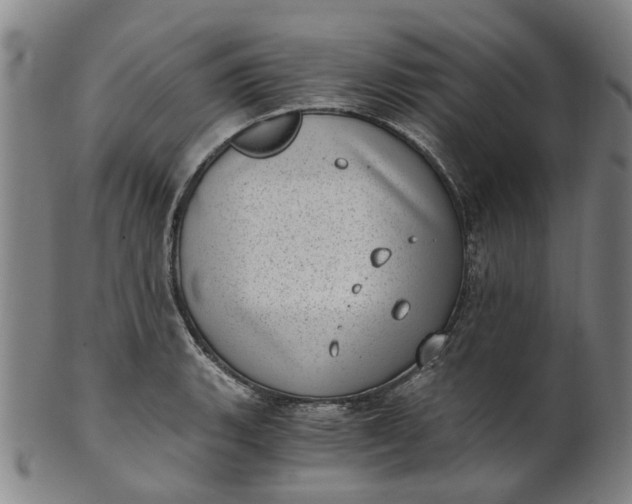 X0000101651135200807241349