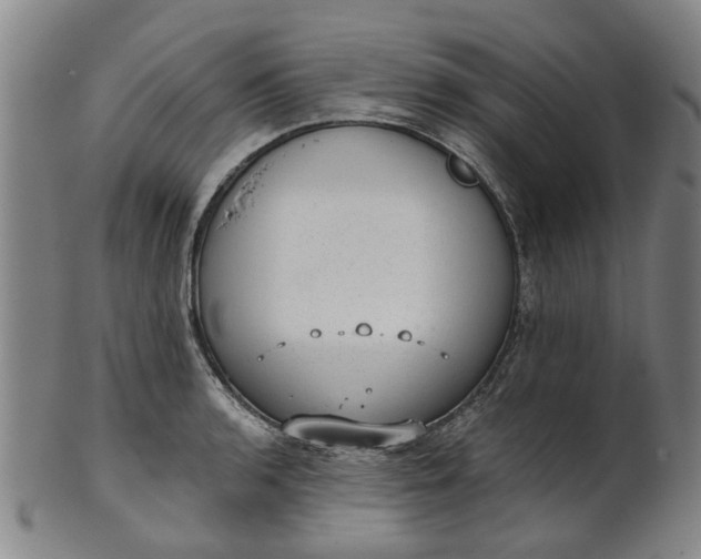 X0000101651136200807241349